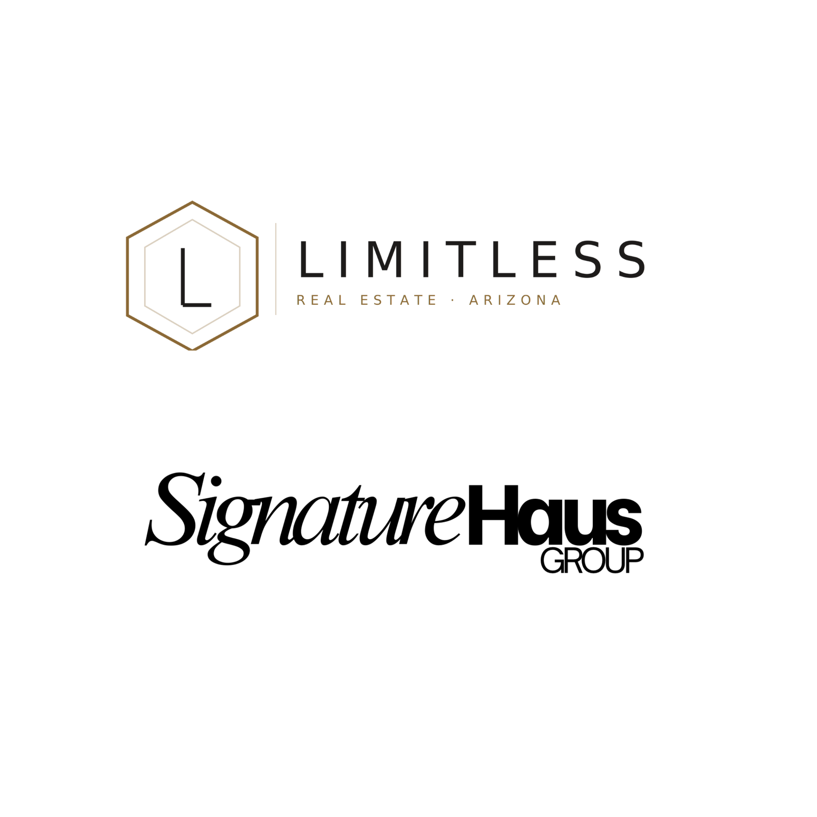 dual logo